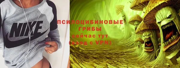apvp Арсеньев