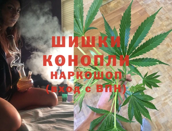 apvp Арсеньев
