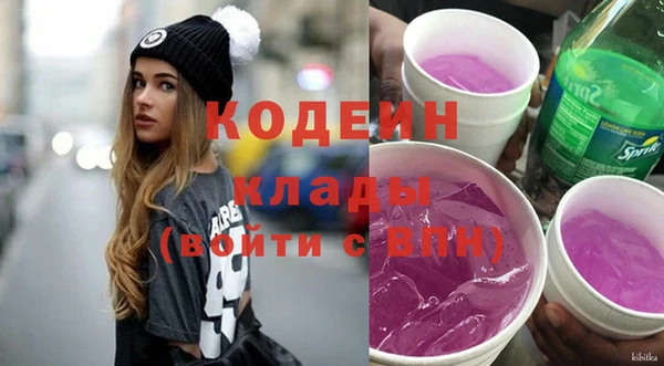 apvp Арсеньев