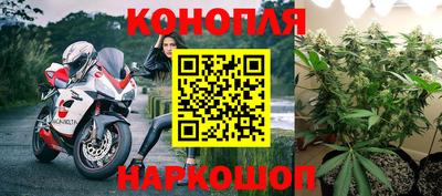 гидропоника Братск