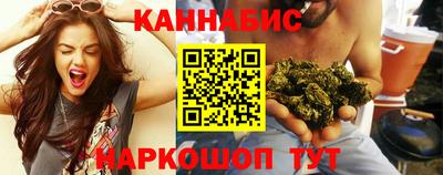 индика Боровичи