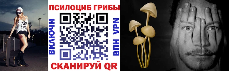 Псилоцибиновые грибы Psilocybine cubensis  закладка  блэк спрут зеркало  Асбест 